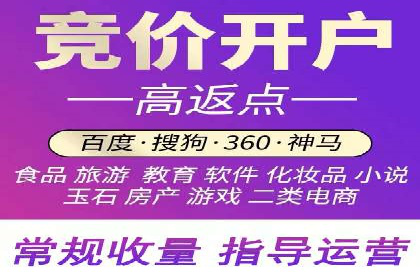百度竞价广告投放的ROI优化：经典案例分享